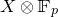 upper X circled times double struck upper F Subscript p