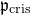 German p Subscript normal c normal r normal i normal s