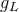 g Subscript upper L
