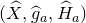 left parenthesis ModifyingAbove upper X With caret comma ModifyingAbove g With caret Subscript a Baseline comma ModifyingAbove upper H With caret Subscript a Baseline right parenthesis