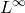 upper L Superscript normal infinity