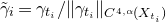 gamma overtilde Subscript i Baseline equals gamma Subscript t Sub Subscript i Baseline divided by StartMetric gamma Subscript t Sub Subscript i Subscript Baseline EndMetric Subscript upper C Sub Superscript 4 comma alpha Subscript left parenthesis upper X Sub Subscript t Sub Sub Subscript i Sub Subscript Subscript right parenthesis