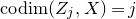 normal c normal o normal d normal i normal m left parenthesis upper Z Subscript j Baseline comma upper X right parenthesis equals j
