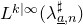 upper L Superscript k vertical bar normal infinity Baseline left parenthesis lamda Subscript a underbar comma n Superscript normal # Baseline right parenthesis