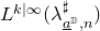 upper L Superscript k vertical bar normal infinity Baseline left parenthesis lamda Subscript a underbar Sub Superscript double struck upper D Subscript comma n Superscript normal # Baseline right parenthesis