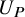 upper U Subscript upper P