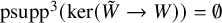 psupp cubed left parenthesis kernel left parenthesis upper W overtilde right arrow upper W right parenthesis right parenthesis equals normal empty set