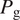 Pg