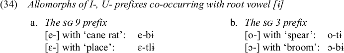 Linguistic data showing allomorphs of I- and U- prefixes with root vowel [i]. Column a shows S G 9 prefix [e-] for cane rat e-bi and [epsilon-] for place epsilon-tli. Column b shows S G 3 prefix [o-] for spear o-ti and [open-o-] for broom open-o-bi.