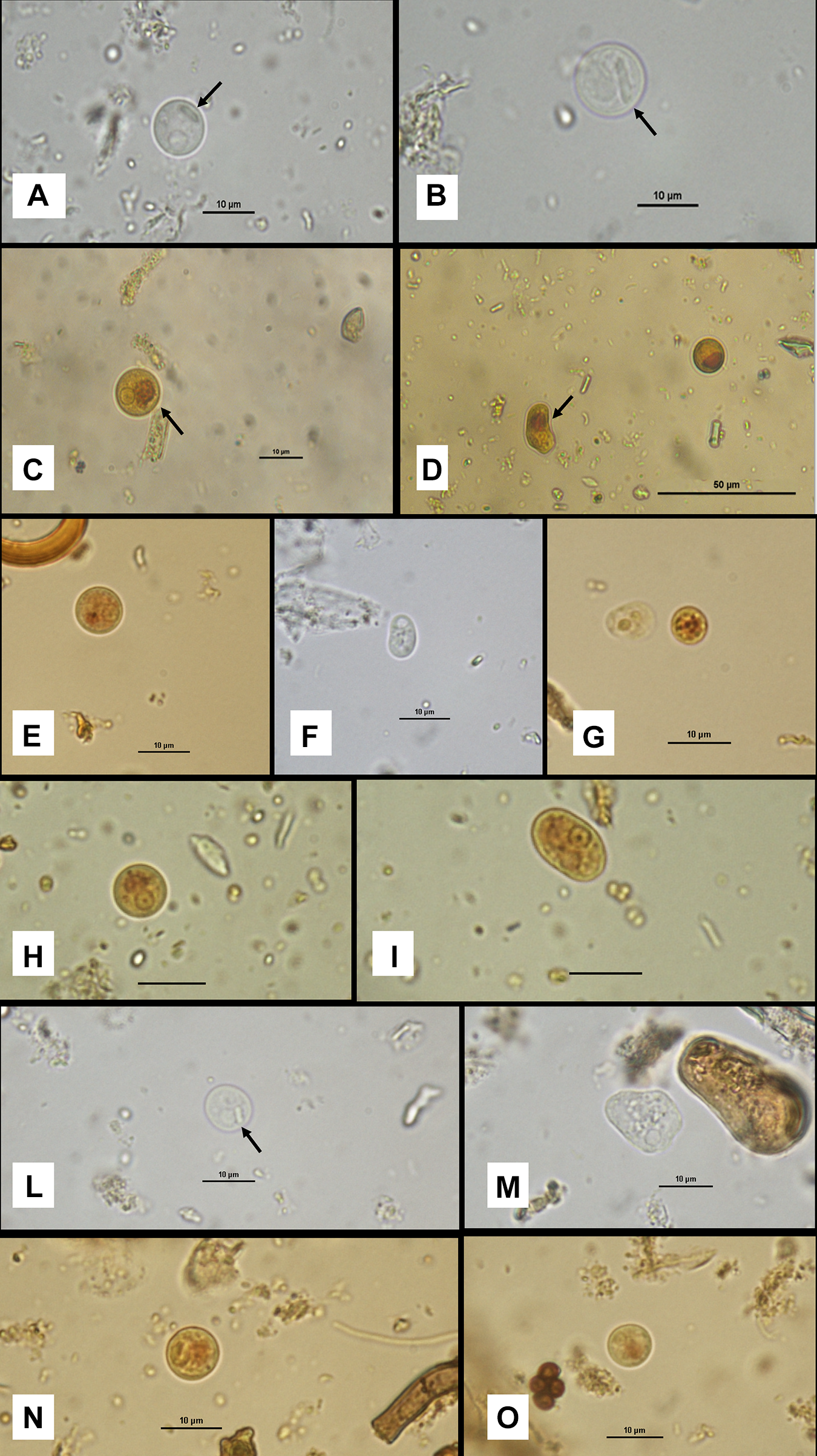Figure 0