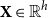 bold upper X element of double struck upper R Superscript h
