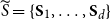 upper S overtilde equals StartSet bold upper S 1 comma ellipsis comma bold upper S Subscript d Baseline EndSet