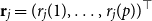 bold r Subscript j Baseline equals left parenthesis r Subscript j Baseline left parenthesis 1 right parenthesis comma ellipsis comma r Subscript j Baseline left parenthesis p right parenthesis right parenthesis Superscript down tack
