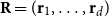 bold upper R equals left parenthesis bold r 1 comma ellipsis comma bold r Subscript d Baseline right parenthesis
