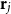bold r Subscript j