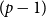 left parenthesis p minus 1 right parenthesis