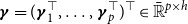 bold italic gamma equals left parenthesis bold italic gamma 1 Superscript down tack Baseline comma ellipsis comma bold italic gamma Subscript p Superscript down tack Baseline right parenthesis Superscript down tack Baseline element of double struck upper R overbar Superscript p times h