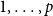 1 comma ellipsis comma p