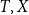 upper T comma upper X