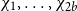 chi 1 comma ellipsis comma chi Subscript 2 b Baseline