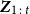 bold italic upper Z Subscript 1 colon t