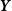 bold italic upper Y