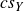 c s Subscript upper Y