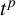 t Superscript p