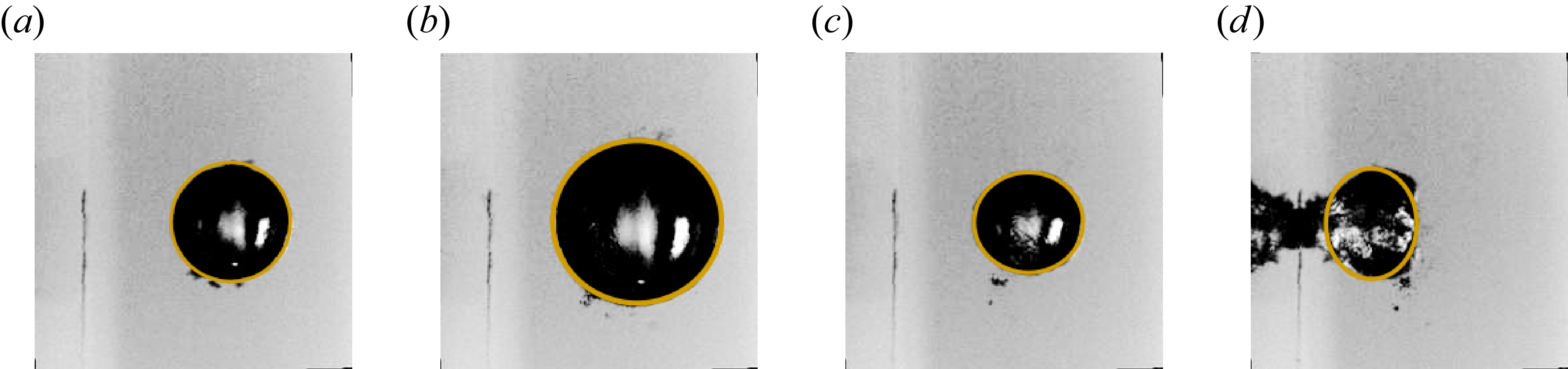 Figure 37