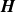 bold italic upper H