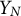 upper Y Subscript upper N