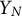 upper Y Subscript upper N