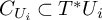 upper C Subscript upper U Sub Subscript i Baseline subset of upper T Superscript asterisk Baseline upper U Subscript i