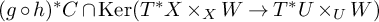 left parenthesis g ring h right parenthesis Superscript asterisk Baseline upper C intersection kernel left parenthesis upper T Superscript asterisk Baseline upper X times Subscript upper X Baseline upper W right arrow upper T Superscript asterisk Baseline upper U times Subscript upper U Baseline upper W right parenthesis
