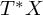upper T Superscript asterisk Baseline upper X