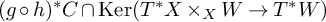 left parenthesis g ring h right parenthesis Superscript asterisk Baseline upper C intersection kernel left parenthesis upper T Superscript asterisk Baseline upper X times Subscript upper X Baseline upper W right arrow upper T Superscript asterisk Baseline upper W right parenthesis