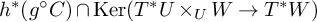 h Superscript asterisk Baseline left parenthesis g Superscript ring Baseline upper C right parenthesis intersection kernel left parenthesis upper T Superscript asterisk Baseline upper U times Subscript upper U Baseline upper W right arrow upper T Superscript asterisk Baseline upper W right parenthesis