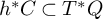 h Superscript asterisk Baseline upper C subset of upper T Superscript asterisk Baseline upper Q