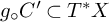 g Subscript ring Baseline upper C Superscript prime Baseline subset of upper T Superscript asterisk Baseline upper X