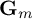 bold upper G Subscript m