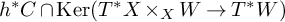 h Superscript asterisk Baseline upper C intersection kernel left parenthesis upper T Superscript asterisk Baseline upper X times Subscript upper X Baseline upper W right arrow upper T Superscript asterisk Baseline upper W right parenthesis