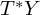 upper T Superscript asterisk Baseline upper Y
