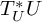 upper T Subscript upper U Superscript asterisk Baseline upper U