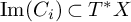 im left parenthesis upper C Subscript i Baseline right parenthesis subset of upper T Superscript asterisk Baseline upper X
