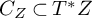 upper C Subscript upper Z Baseline subset of upper T Superscript asterisk Baseline upper Z