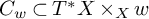 upper C Subscript w Baseline subset of upper T Superscript asterisk Baseline upper X times Subscript upper X Baseline w