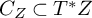 upper C Subscript upper Z Baseline subset of upper T Superscript asterisk Baseline upper Z