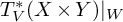 upper T Subscript upper V Superscript asterisk Baseline left parenthesis upper X times upper Y right parenthesis vertical bar Subscript upper W Baseline
