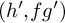left parenthesis h prime comma f g Superscript prime Baseline right parenthesis