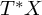 upper T Superscript asterisk Baseline upper X